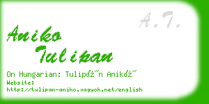 aniko tulipan business card